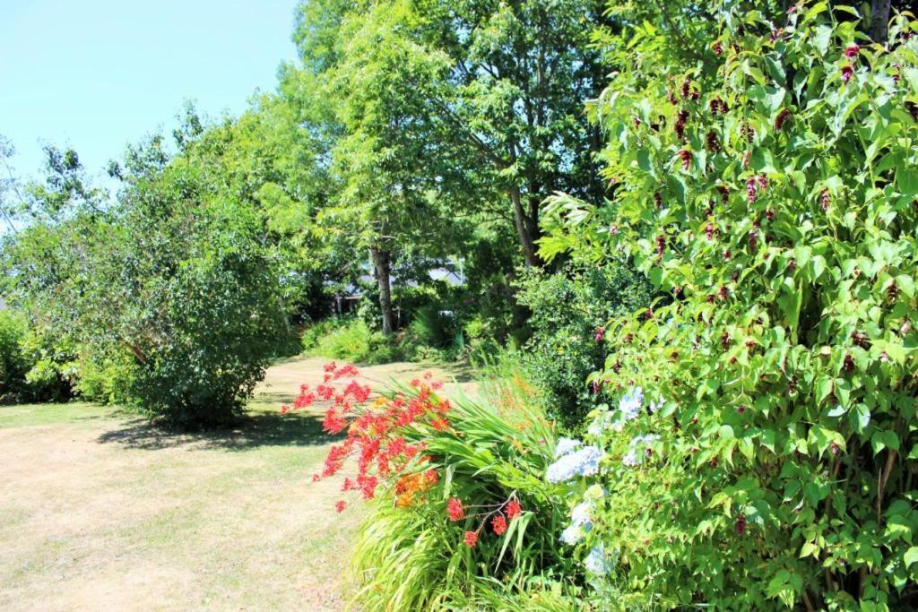 Sue'S Cottages Pleuven エクステリア 写真